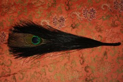 Imperial Chinese Hat Plume CT58